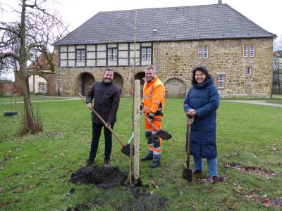 Baumplanzung im Klostergarten
Nachdem 2024 im Klostergarten Herzebrock ein Birnbaum einer alten Sorte aufgrund von beralterung gefllt werden musste, wurden jetzt gleich zwei Birnbume neu angepflanzt. Vor der Fllung im letzten Jahr hatte der Bauhof Edelreise geschnitten und auf Hochstmmen veredeln lassen.
Der alte Baum war bereits ber 100 Jahre alt. Die neuen Exemplare sind gut gediehen und tragen jetzt zu Ehren des alten Baums den Namen Herzebrocker Klosterbirne. Wir freuen uns, dass wir nicht nur im Klostergarten Herzebrock den alten Baum mit einem jungen Nachfolger ersetzen, sondern auch im Klostergarten Clarholz einen jungen Birnbaum pflanzen konnten, erlutert Sascha Zelesnik-Hartmann, die in der Gemeindeverwaltung fr Grnflchen und damit auch fr die Bume der Gemeinde zustndig ist. 
In den Klostergrten werden alte Obstsorten kultiviert. Insbesondere in Herzebrock finden sich viele Apfelbume, Kirsch-, Birn-, und Pflaumenbume. Das Obst drfen die Brgerinnen und Brger im Sptsommer und Herbst ernten. 