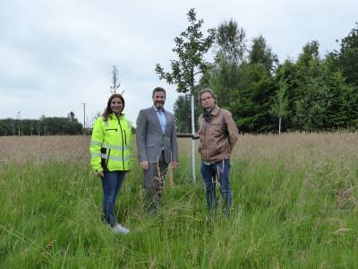 Ausgleichsflche fr Regenrckhaltebecken
Streuobstwiese mit regionalen Obstsorten in Herzebrock-Clarholz eingerichtet

Die Gemeinde Herzebrock-Clarholz ist um eine Streuobstwiese reicher. Im Zusammenhang mit dem Bau eines Regenrckhaltebeckens Am Rnderholz im Ortsteil Herzebrock wurden Manahmen zum Ausgleich des Eingriffs in die Natur ntig. Um das Becken und einen Regenkanal errichten zu knnen, mussten die Gemeindewerke Herzebrock-Clarholz Strucher, Bsche und kleinere Bume entfernen. Im Sinne der sogenannten Kompensationsplanung konnte eine gemeindeeigene, sdlich des Regenrckhaltebeckens gelegene, Wiese als Ausgleichsflche genutzt werden.

Die Wiese war ursprnglich mit einigen Hecken und kleineren Bumen bewachsen und von Gehlzflchen eingefasst. Nun haben die Gemeindewerke die Flche durch die Bepflanzung mit regionalen Apfel-, Birnen-, Kirsch- und Pflaumenbumen zu einer Streuobstwiese aufgewertet. Die uere Gehlzflche im Sden und Westen wurde auf eine mehrreihige Hecke in der Breite erweitert. Zum Schutz vor Fege- und Verbissschden wurde ein Wildschutzzaun errichtet. 

Zuknftig will die Gemeinde Herzebrock-Clarholz die Wiese den Brgerinnen und Brgern zugnglich machen, damit sie das Obst auch selbst ernten knnen.

Brgermeister Marco Diethelm erklrt, dass hier die Gelegenheit genutzt wurde, nicht nur fr den gesetzlich vorgeschriebenen Ausgleich zu sorgen, sondern einen Mehrwert zu schaffen. Insekten knnen die Wiese nutzen, eine Landestange fr Greifvgel wurde eingerichtet und letztendlich erfreuen wir uns alle an den regionalen Obstsorten?, so das Gemeindeoberhaupt.

 
